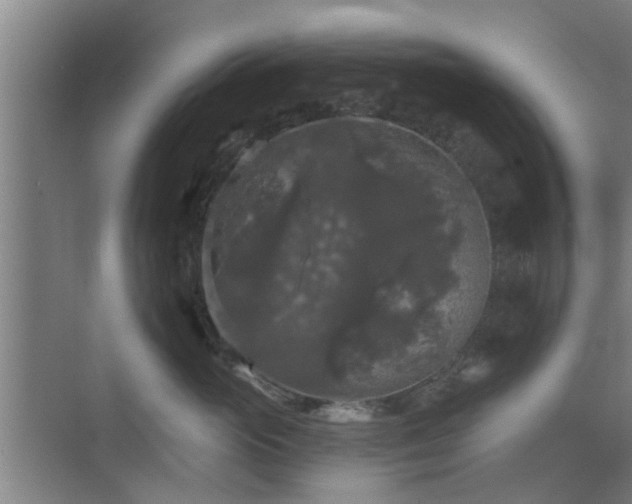 X0000070340765200606161250