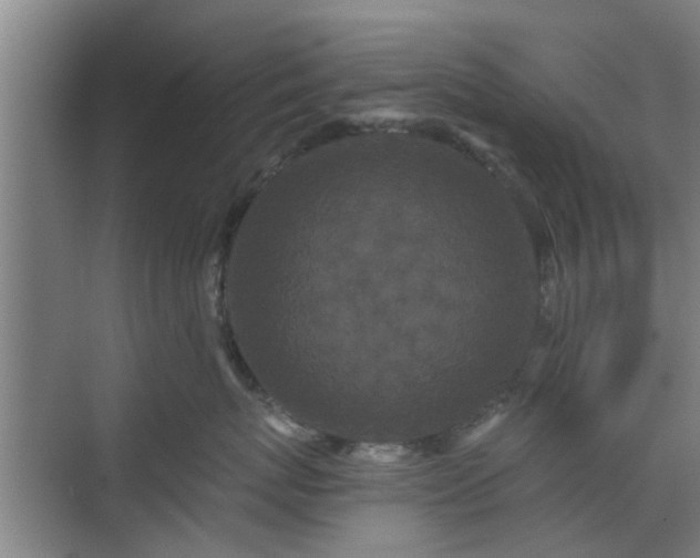 X0000070340767200606161250