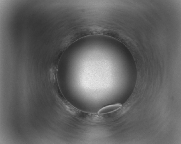 X0000070340768200606161250