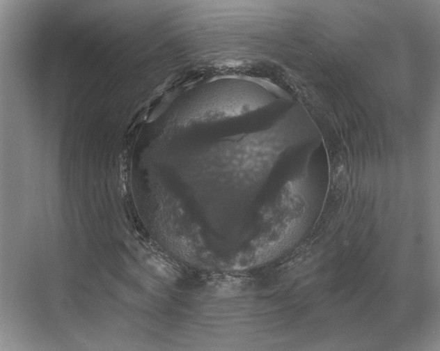 X0000070340772200606161249