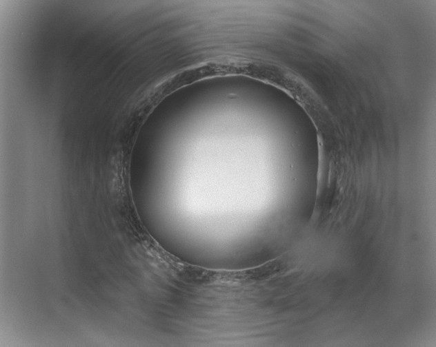 X0000070340773200606161249