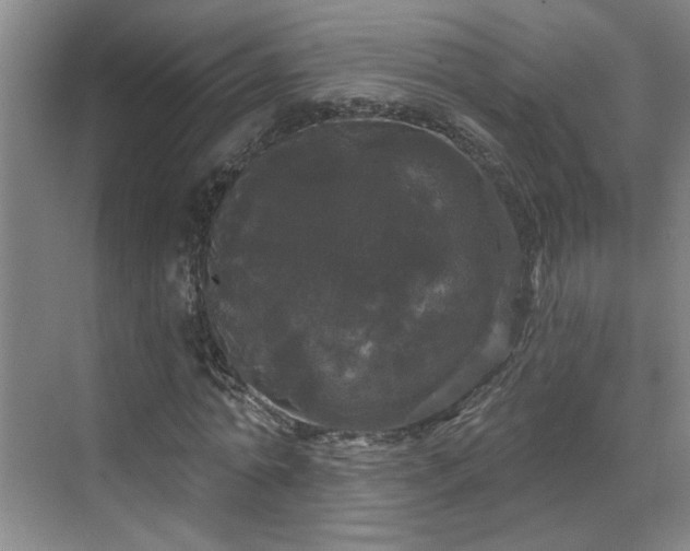 X0000070340774200606161249