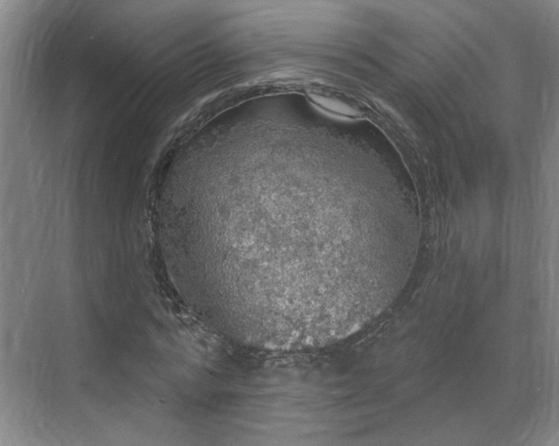 X0000070340776200606161249