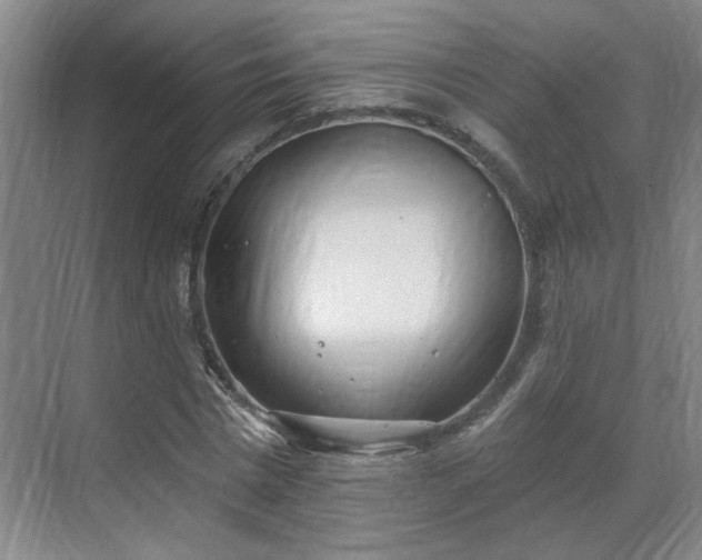 X0000070340777200606161249