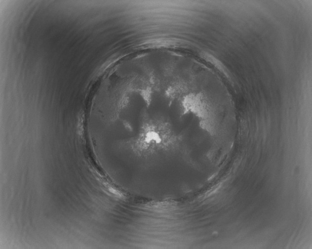 X0000070340778200606161249