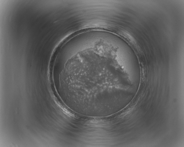 X0000070340780200606161249