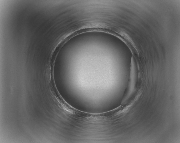 X0000070340781200606161249