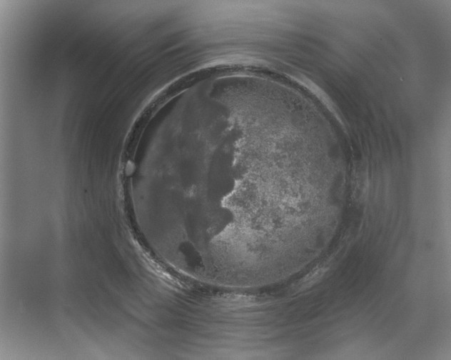 X0000070340783200606161249