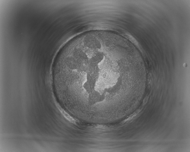 X0000070340787200606161249