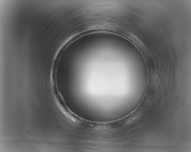 X0000070340788200606161249