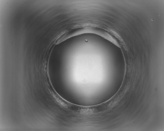 X0000070340793200606161249