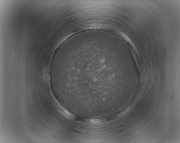 X0000070340794200606161249