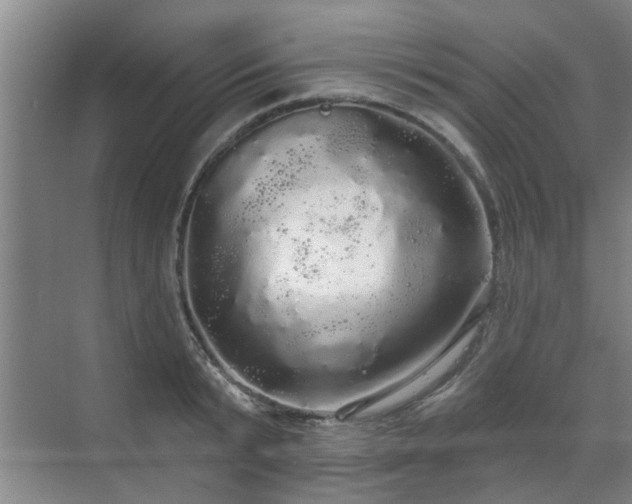 X0000070340799200606161249