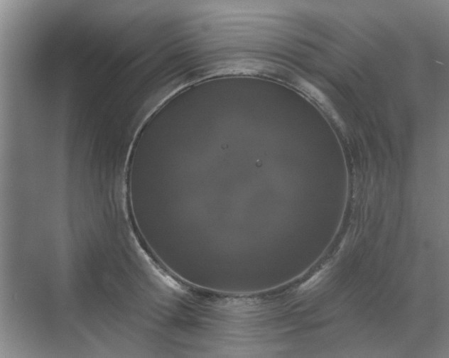 X0000070340802200606161249