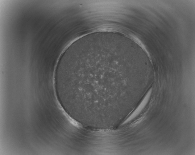 X0000070340803200606161249