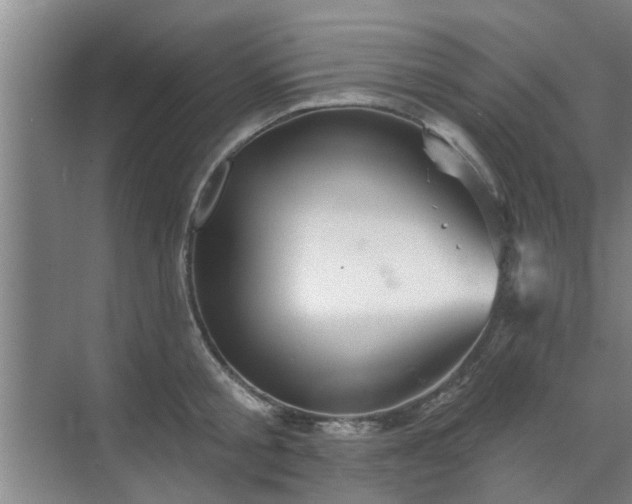 X0000070340805200606161249