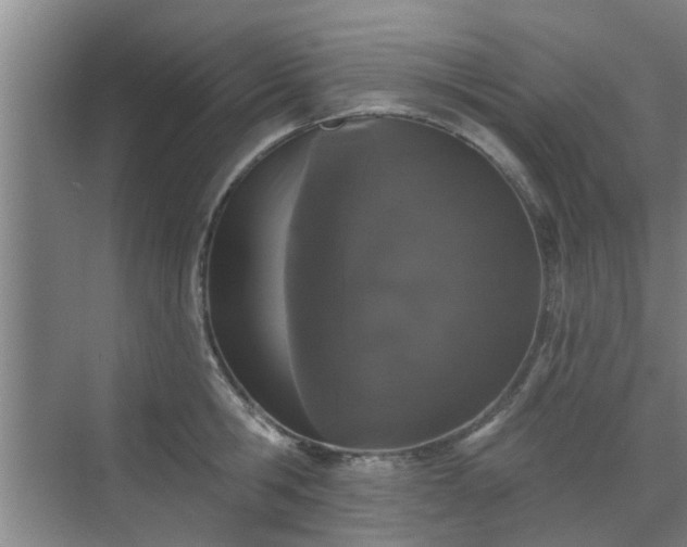 X0000070340806200606161249