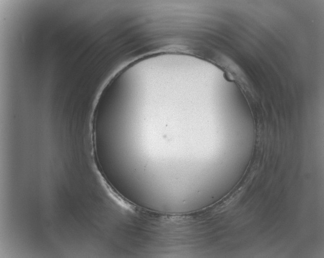 X0000070340808200606161249