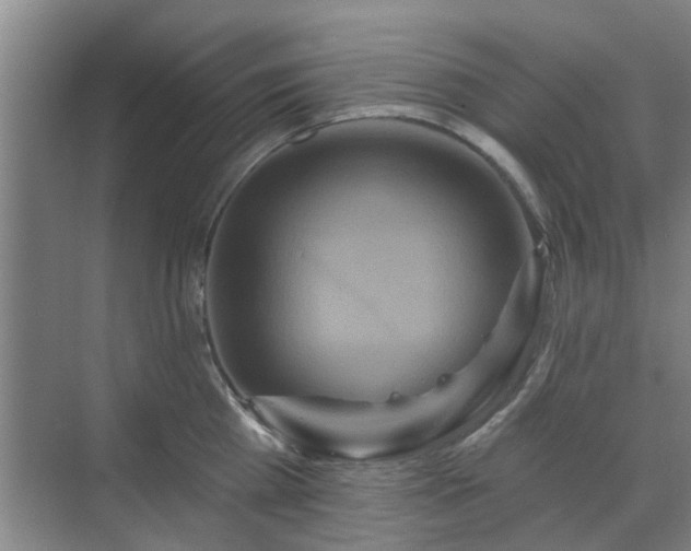 X0000070340809200606161249