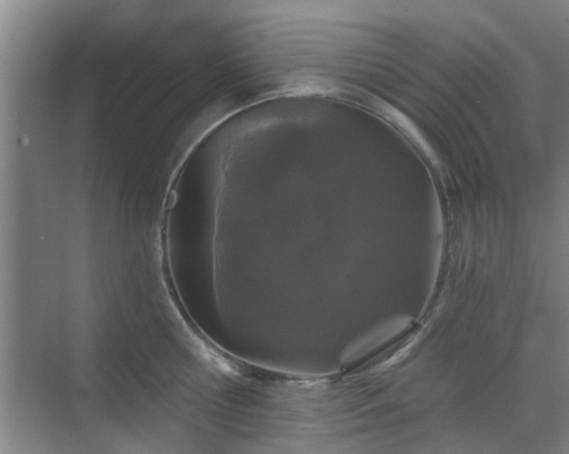 X0000070340810200606161249