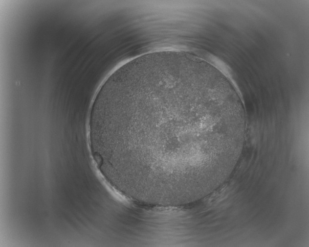 X0000070340811200606161249