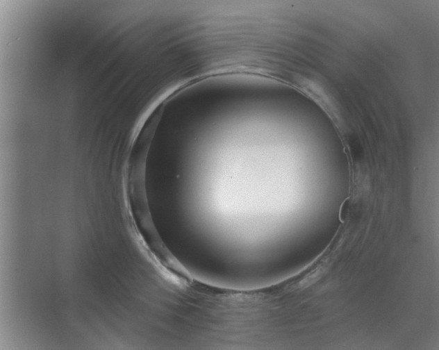 X0000070340812200606161249