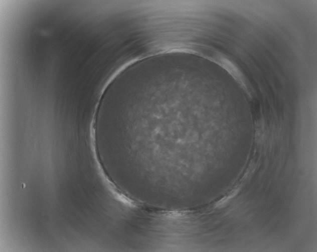 X0000070340814200606161249