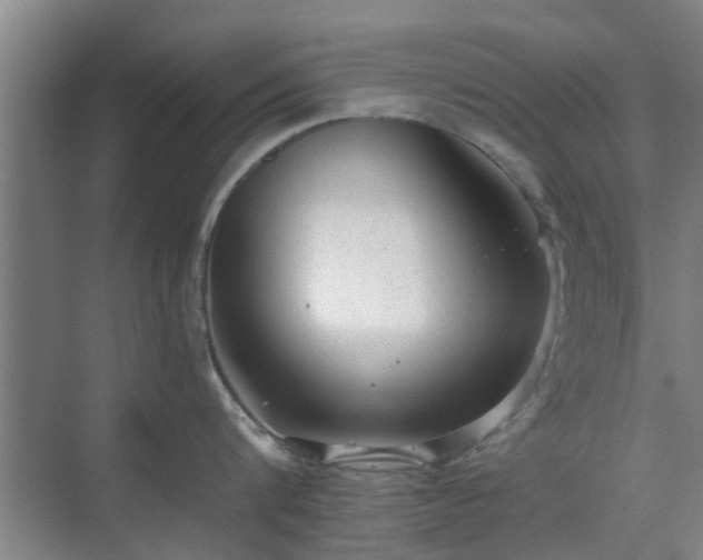 X0000070340816200606161249