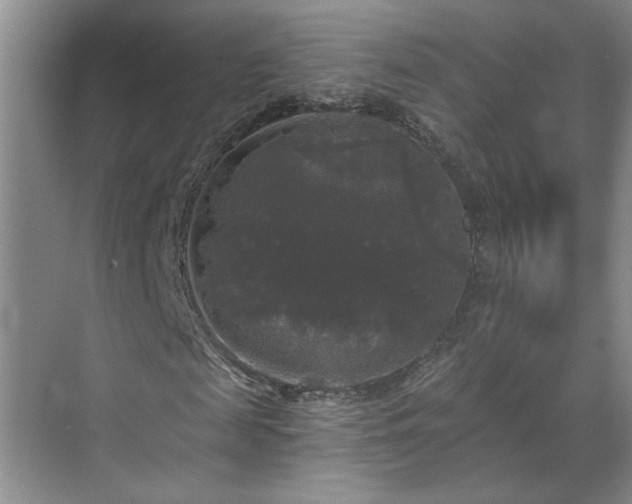 X0000070340817200606161248