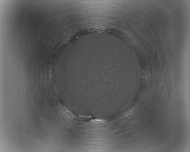 X0000070340818200606161248