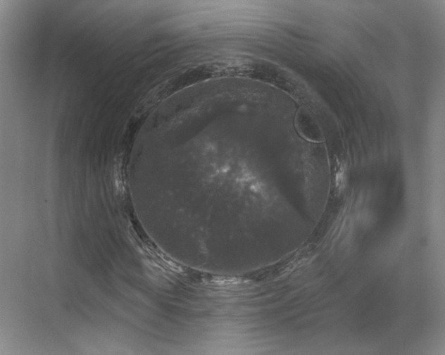 X0000070340819200606161248