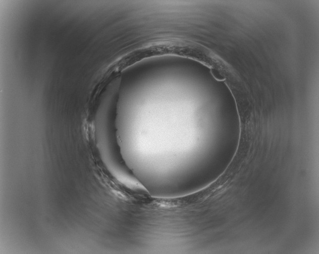 X0000070340822200606161248