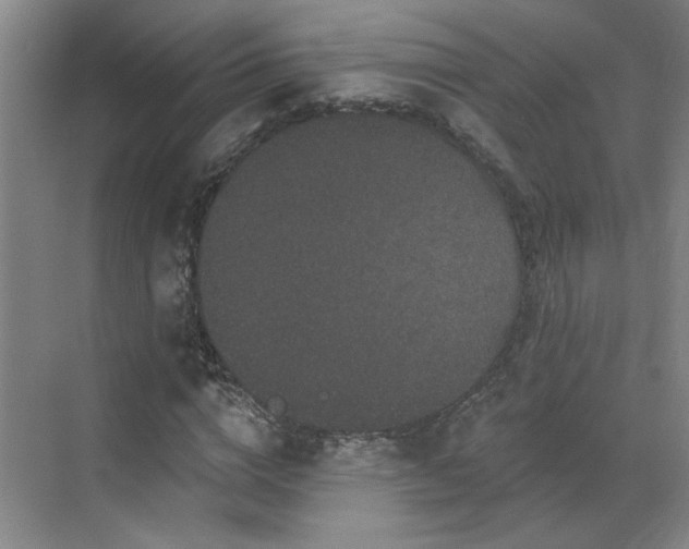 X0000070340824200606161248