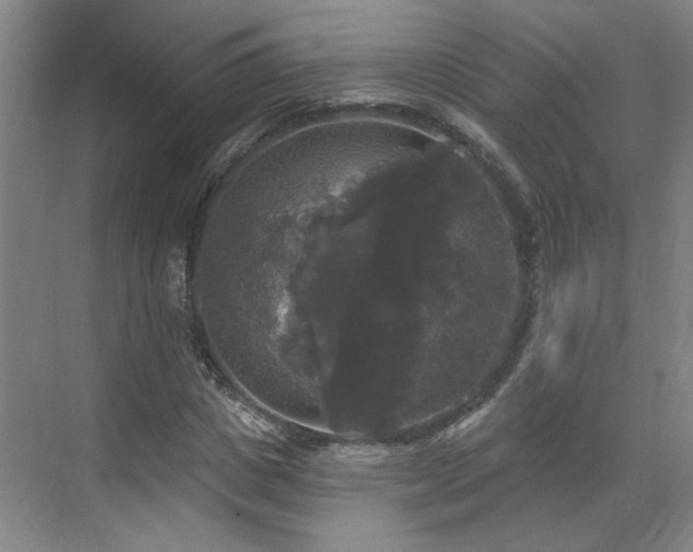 X0000070340825200606161248