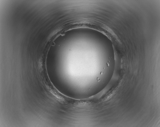 X0000070340826200606161248