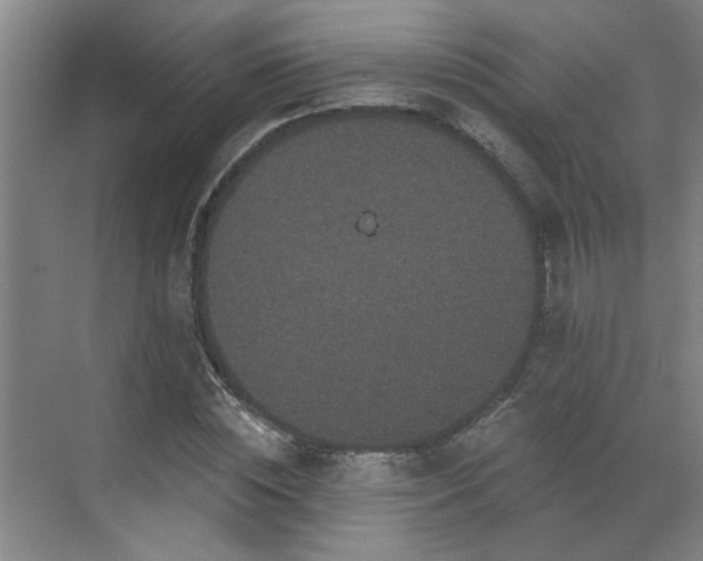 X0000070340828200606161248