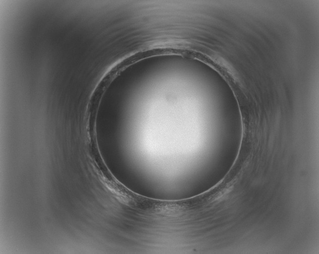 X0000070340830200606161248