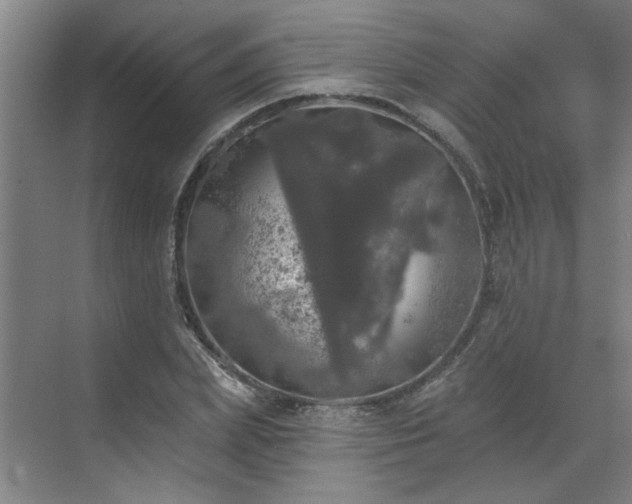 X0000070340831200606161248