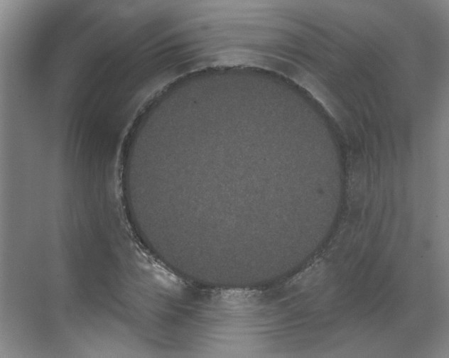 X0000070340832200606161248