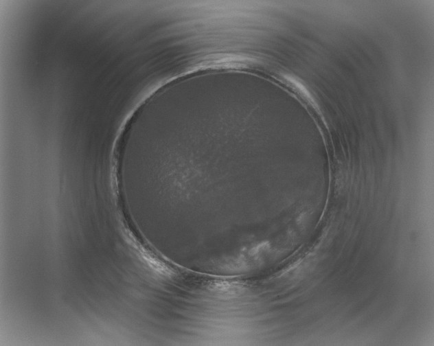 X0000070340835200606161248