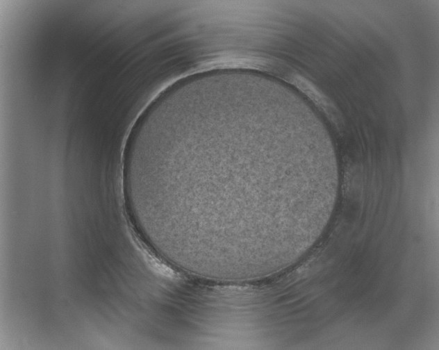 X0000070340836200606161248