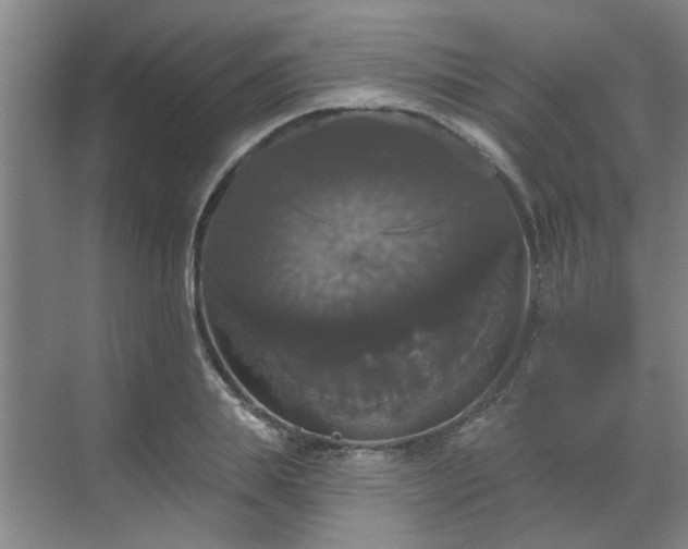 X0000070340839200606161248