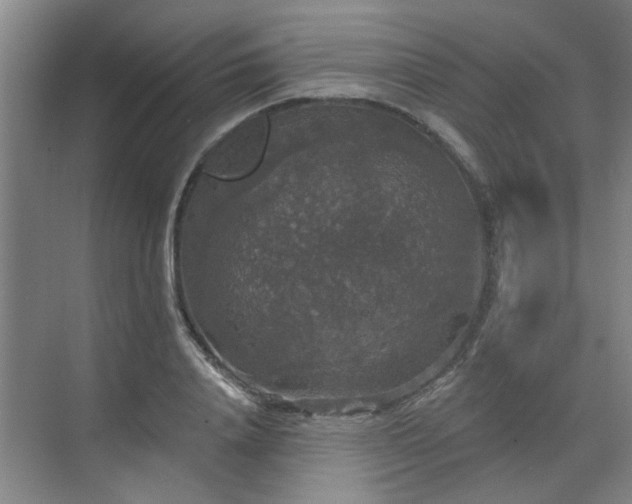 X0000070340840200606161248