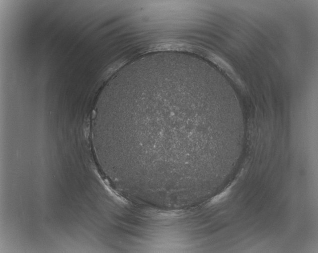 X0000070340841200606161248