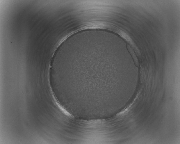 X0000070340842200606161248