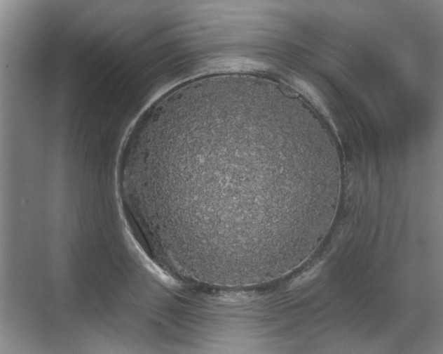 X0000070340843200606161248