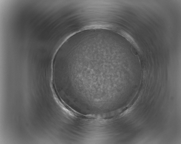 X0000070340844200606161248