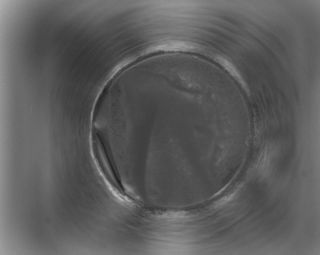 X0000070340845200606161248