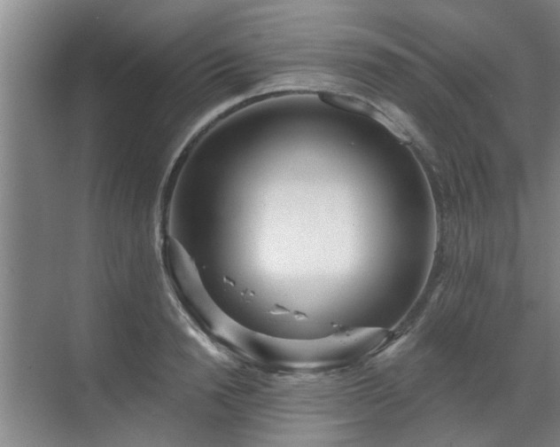 X0000070340846200606161248