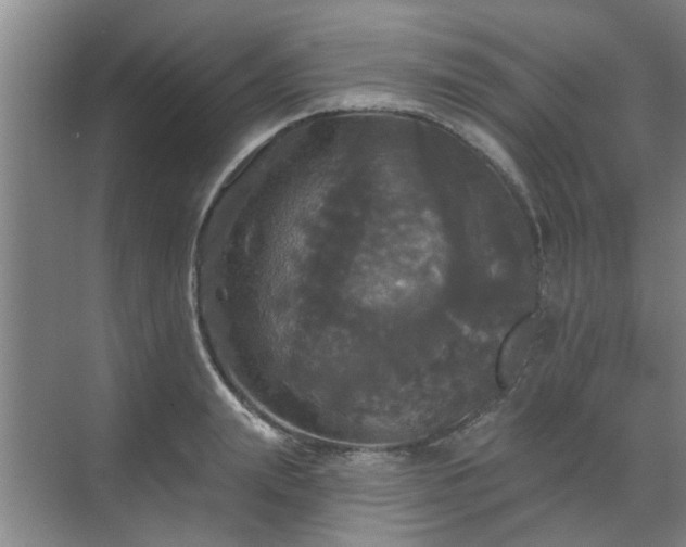 X0000070340847200606161248